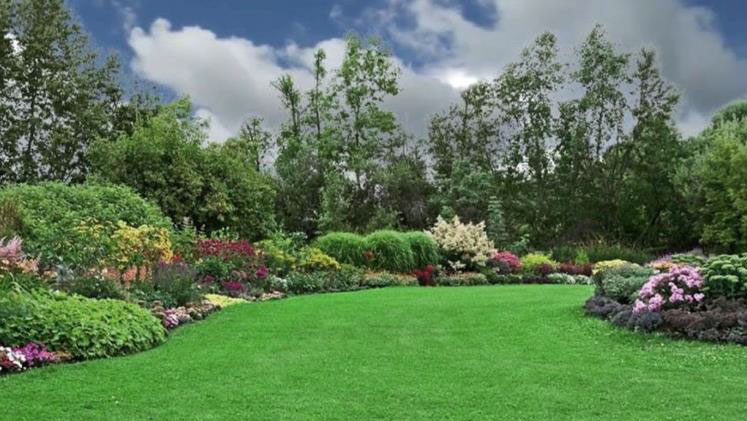 Garden with green grass, colorful flowers and grown trees and bushes