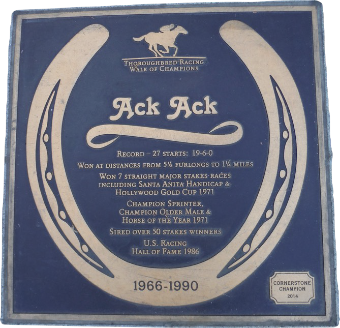 Ack Ack the horse plaque.