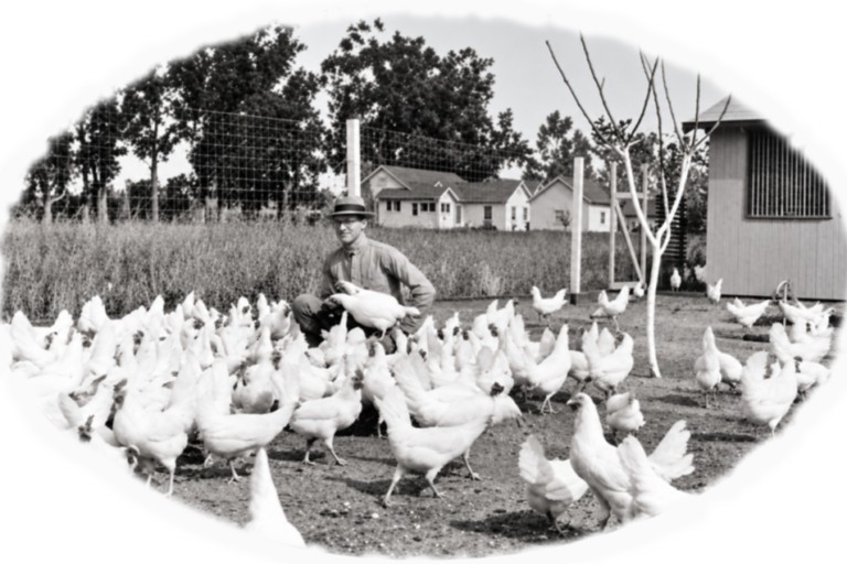 Old vintage picture of Prince Erik holding a chicken in this chicken coop.